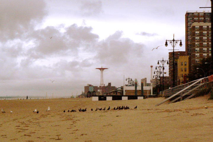 Coney Island strand photographed in winter ca. 2010, facing the Parachute Jump from the east, with gulls and apartment buildings in view