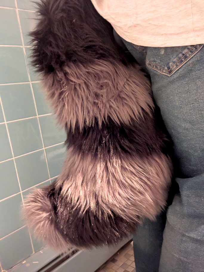 A raccoon fursuit tail