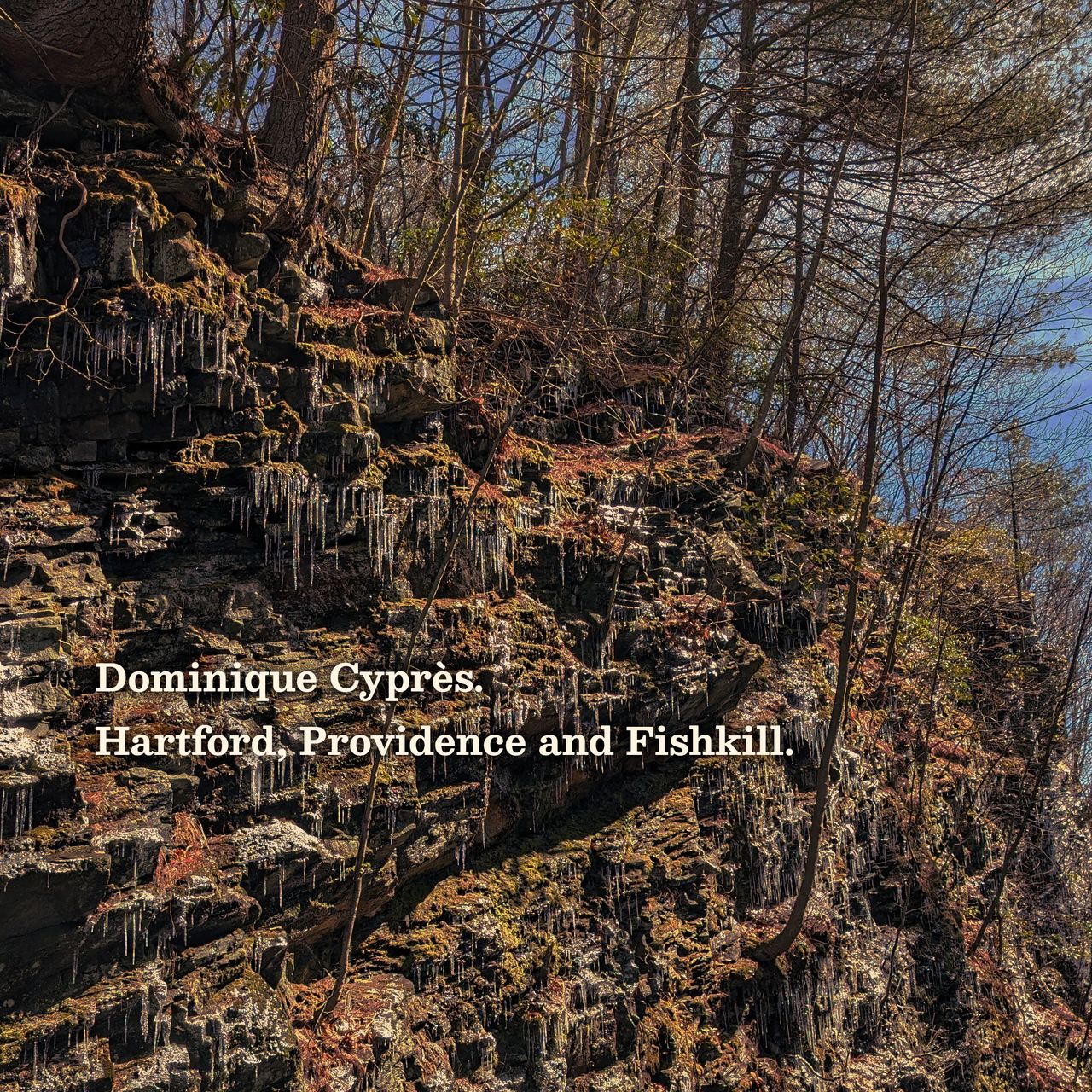 Mossy, tree-lined rock face